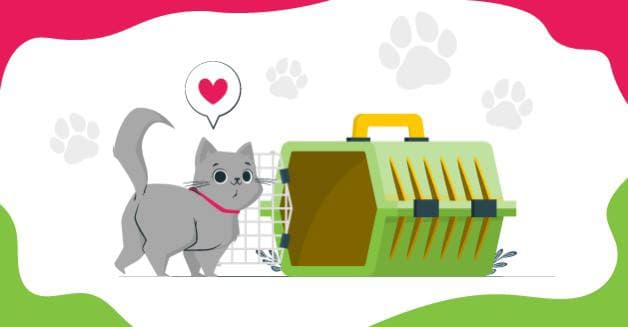 Ինչու՞ ընտանի կենդանիների ապահովագրությունը պարտադիր է պատասխանատու կենդանիների սեփականատերերի համար