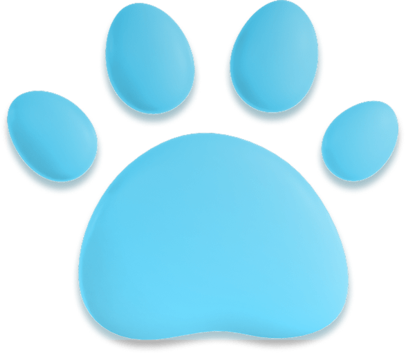 Կենդանիներ